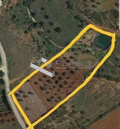 Parcel 7.000 sqm for sale, Athens - East, Marathonas