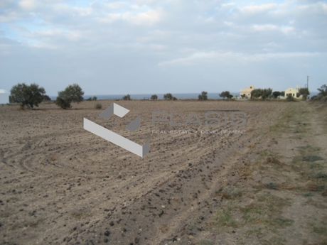 Οικόπεδο 18.300 τ.μ. για πώληση