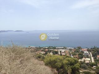Αγροτεμάχια 4.080 τ.μ. για πώληση