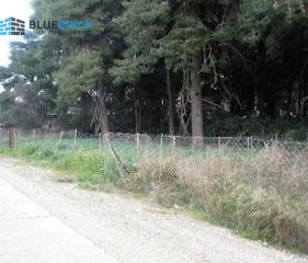 Land plot 4.000 sqm for sale