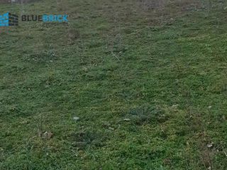 Αγροτεμάχια 2.450 τ.μ. για πώληση