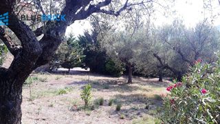 Μονοκατοικία 79 τ.μ. για πώληση, Μεσσηνία, Οιχαλία-thumb-11