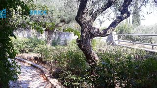 Μονοκατοικία 79 τ.μ. για πώληση, Μεσσηνία, Οιχαλία-thumb-17