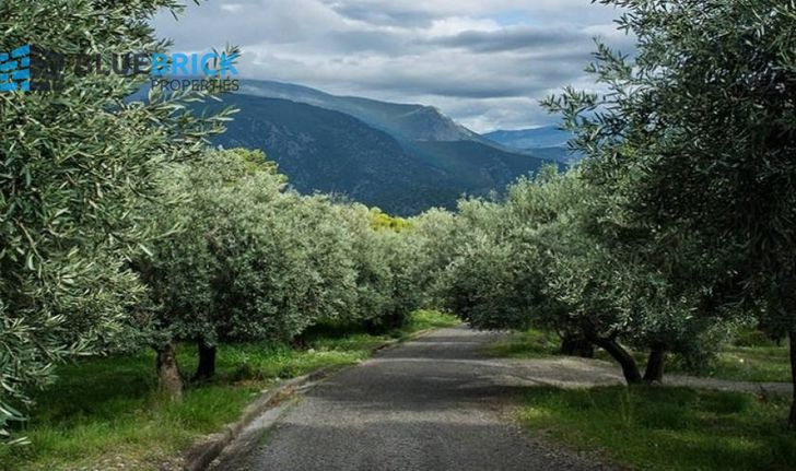 Οικόπεδο 500 τ.μ. για πώληση, Αθήνα - Βόρεια Προάστια, Νέα Πεντέλη