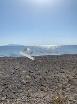 Οικόπεδο 6.800 τ.μ. για πώληση