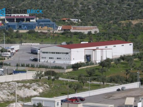Warehouse 1.500sqm for sale-Magoula