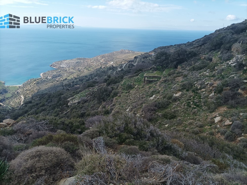 Parcel 17.000 sqm for sale, Andros