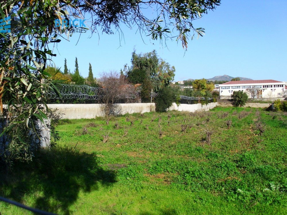 Parcel 5.000 sqm for sale, Pikermi