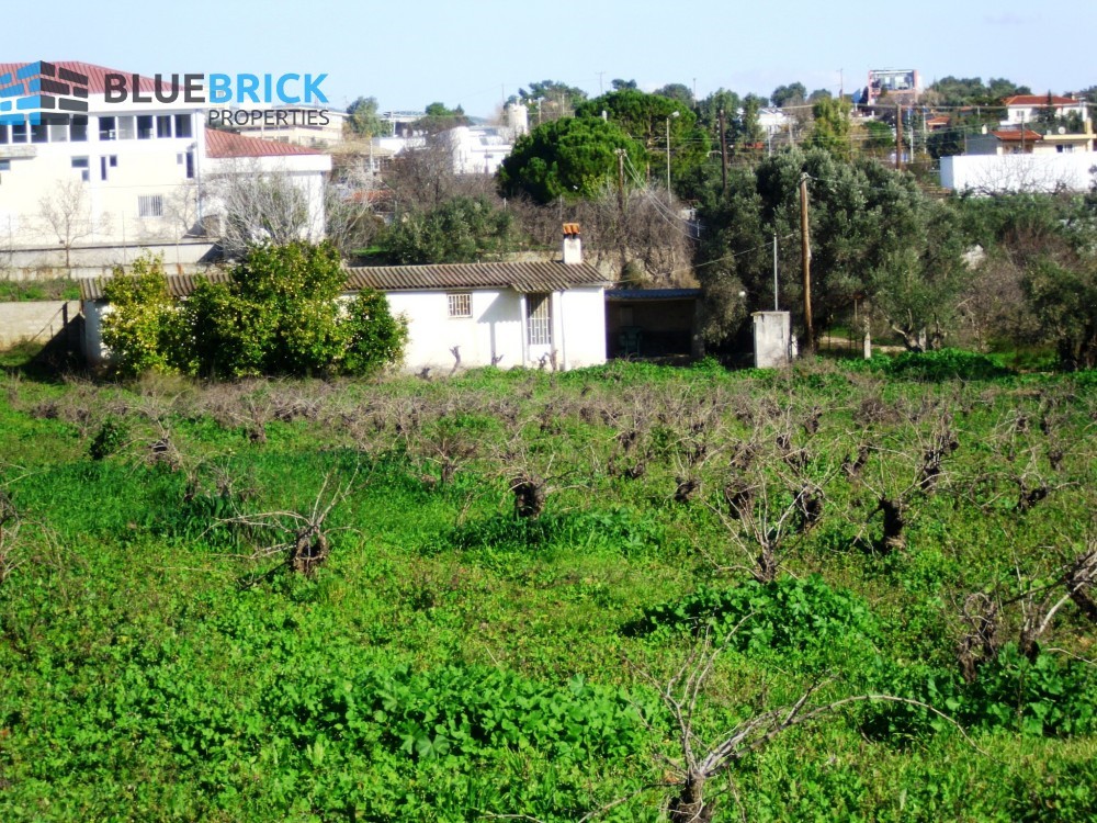 Parcel 5.000 sqm for sale, Pikermi