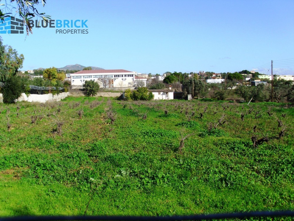 Parcel 5.000 sqm for sale, Pikermi
