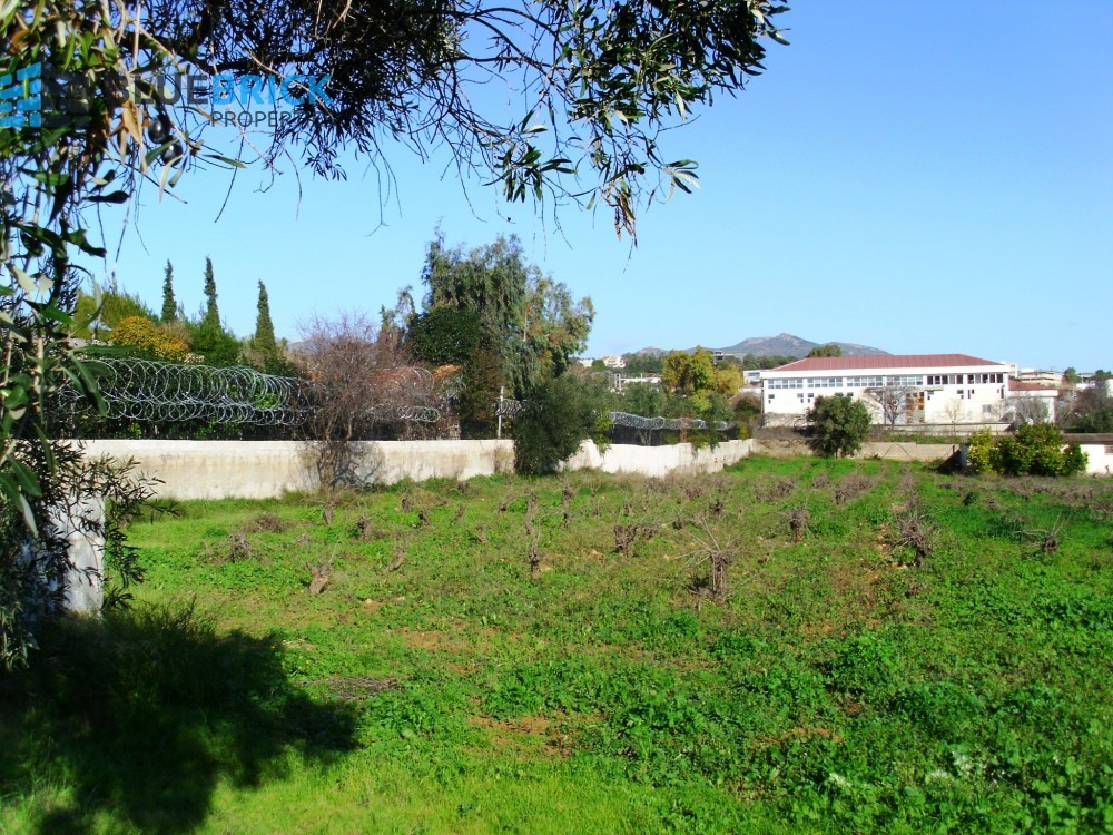 Parcel 5.000 sqm for sale, Pikermi