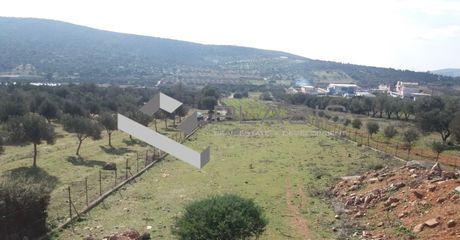 Land plot 4.250sqm for sale-Koropi