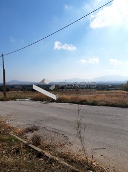 Οικόπεδο 303τ.μ. για πώληση-Σπάτα