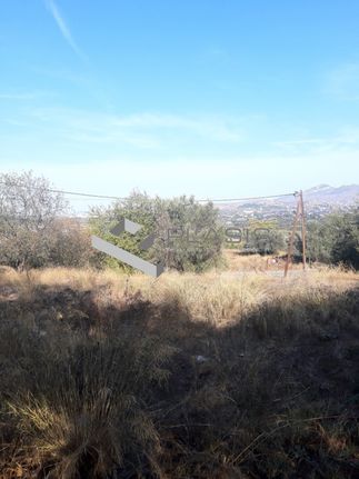 Οικόπεδο 854 τ.μ. για πώληση, Αθήνα - Ανατολικά Προάστια, Σπάτα