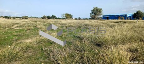 Οικόπεδο 22.000τ.μ. για πώληση-Κορωπί