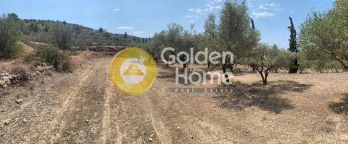 Αγροτεμάχια 2.342 τ.μ. προς πώληση, Νησιά Αργοσαρωνικού, Αίγινα