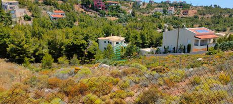 Land plot 500sqm for sale-Pikermi