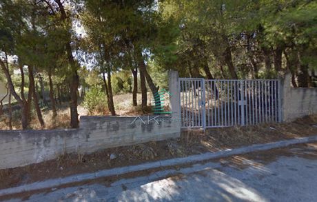 Οικόπεδο 1.600 τ.μ. για πώληση