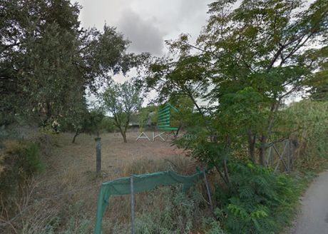 Οικόπεδο 1.041 τ.μ. για πώληση