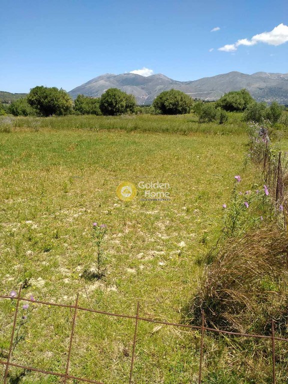 Οικόπεδο 568 τ.μ. προς πώληση, Παλική