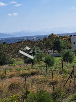 Οικόπεδο 1.251τ.μ. για πώληση-Αρτέμιδα (λούτσα)