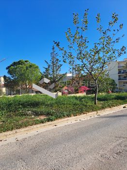 Οικόπεδο 655τ.μ. για πώληση-Σπάτα