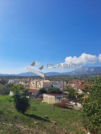 Οικόπεδο 446 τ.μ. για πώληση, Αθήνα - Ανατολικά Προάστια, Σπάτα
