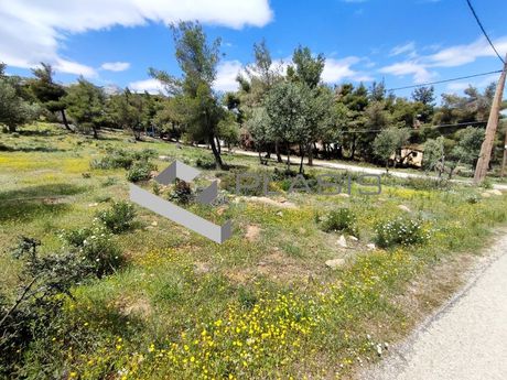 Αγροτεμάχια 570 τ.μ. για πώληση