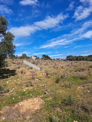 Οικόπεδο 12.000 τ.μ. για ενοικίαση, Αθήνα - Ανατολικά Προάστια, Σπάτα