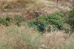 Land plot 120sqm for sale-Kipseli