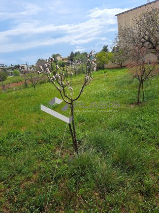 Land plot 504 sqm for sale, Athens - East, Artemida (loutsa)