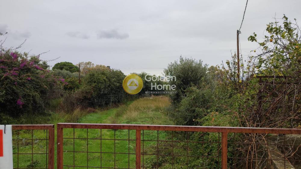 Οικόπεδο 3.000 τ.μ. προς πώληση, Τσουκαλαίικα Βραχναιίκων