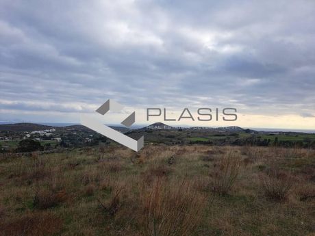 Αγροτεμάχια 8.020τ.μ. για πώληση-Σύρος