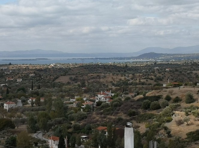Μονοκατοικία 250 τ.μ. πρός πώληση, Εύβοια, Αμάρυνθος