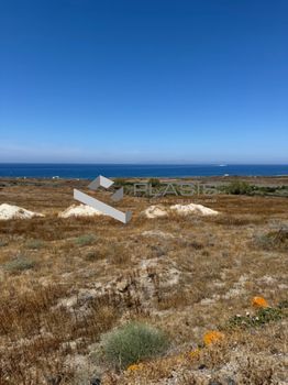 Αγροτεμάχια 7.300 τ.μ. για πώληση