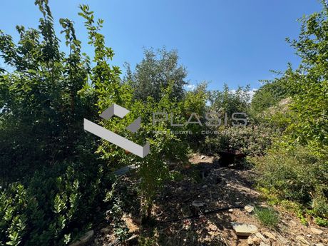 Οικόπεδο 482τ.μ. για πώληση-Νέα μάκρη