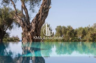 Βίλλα 300 τ.μ. για ενοικίαση, Ν. Κέρκυρας, Κέρκυρα-thumb-20