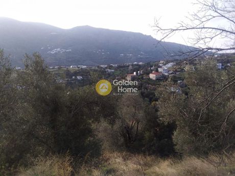 Οικόπεδο 3.613τ.μ. για πώληση-Άνδρος » Χώρα