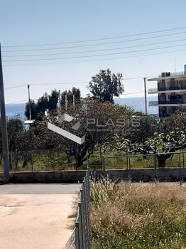 Οικόπεδο 454τ.μ. για πώληση-Αρτέμιδα (λούτσα)