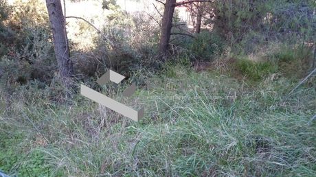 Οικόπεδο 1.151τ.μ. για πώληση-Νέα μάκρη