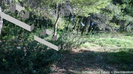 Οικόπεδο 1.000 τ.μ. για πώληση