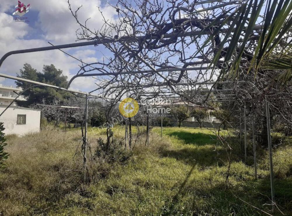 Οικόπεδο 518 τ.μ. προς πώληση, Λαγονήσι
