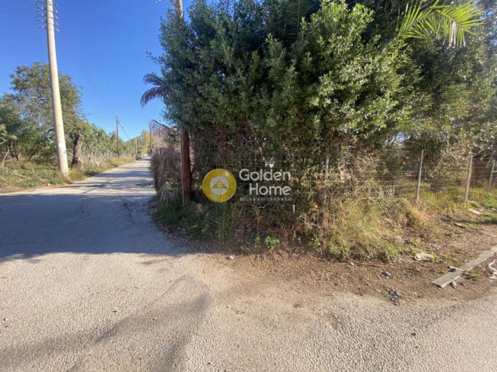 Οικόπεδο 518 τ.μ. προς πώληση, Λαγονήσι