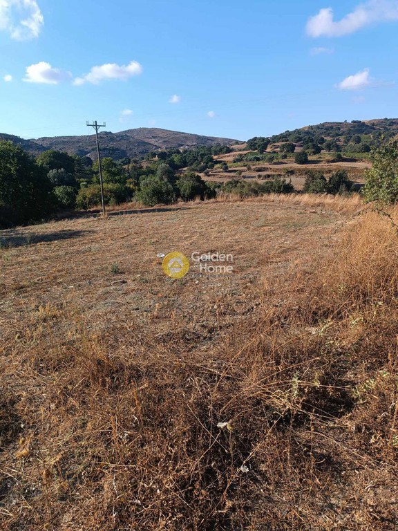 Οικόπεδο 2.850 τ.μ. πρός πώληση, Ν. Ρεθύμνου, Φοινίκας