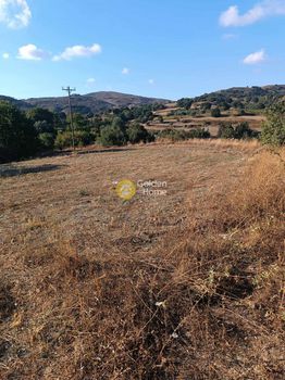 Οικόπεδο 2.850τ.μ. για πώληση-Φοινίκας » Καλή συκιά