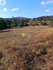 Οικόπεδο 2.850 τ.μ. για πώληση