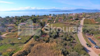 Αγροτεμάχια 2.694 τ.μ. για πώληση, Αργολίδα, Ασίνη-thumb-8