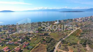 Αγροτεμάχια 2.694 τ.μ. για πώληση, Αργολίδα, Ασίνη-thumb-7