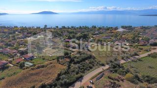 Αγροτεμάχια 2.694 τ.μ. για πώληση, Αργολίδα, Ασίνη-thumb-6