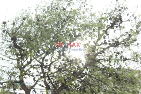 Οικόπεδο 367 τ.μ. για πώληση
